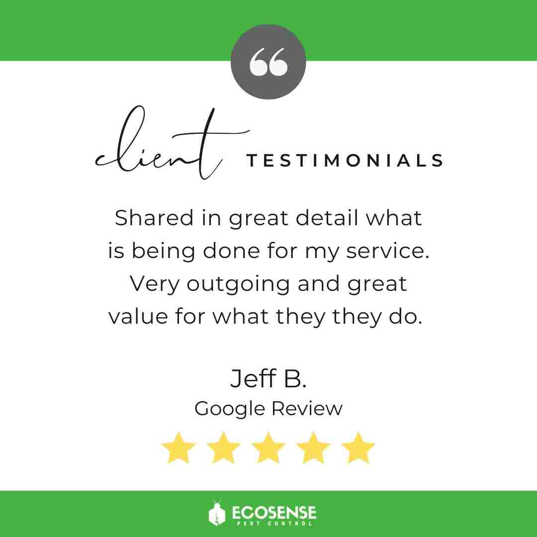 Pest Control Boise EcoSense Pest Control